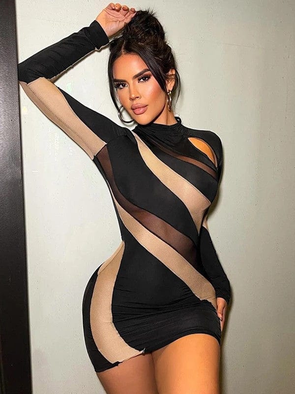 Sexy Black Nude Sheer See Through Mesh Party Mini Dress Sexy Black Nude Sheer See Through Mesh Party Mini Dress