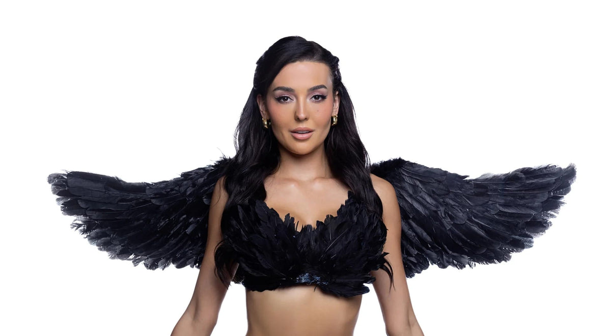 Roma Black Naughty Angel Feather Bra, Wings, Shorts & Mesh Skirt Halloween Cosplay Costume Black Naughty Angel Feather Mesh Halloween Cosplay Costume Apparel & Accessories > Costumes & Accessories
