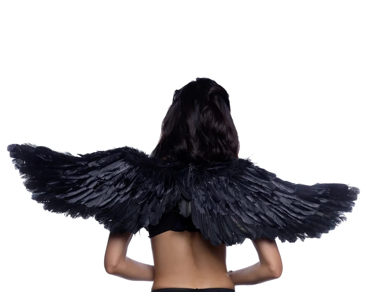 Roma Black Naughty Angel Feather Bra, Wings, Shorts & Mesh Skirt Halloween Cosplay Costume Black Naughty Angel Feather Mesh Halloween Cosplay Costume Apparel & Accessories > Costumes & Accessories