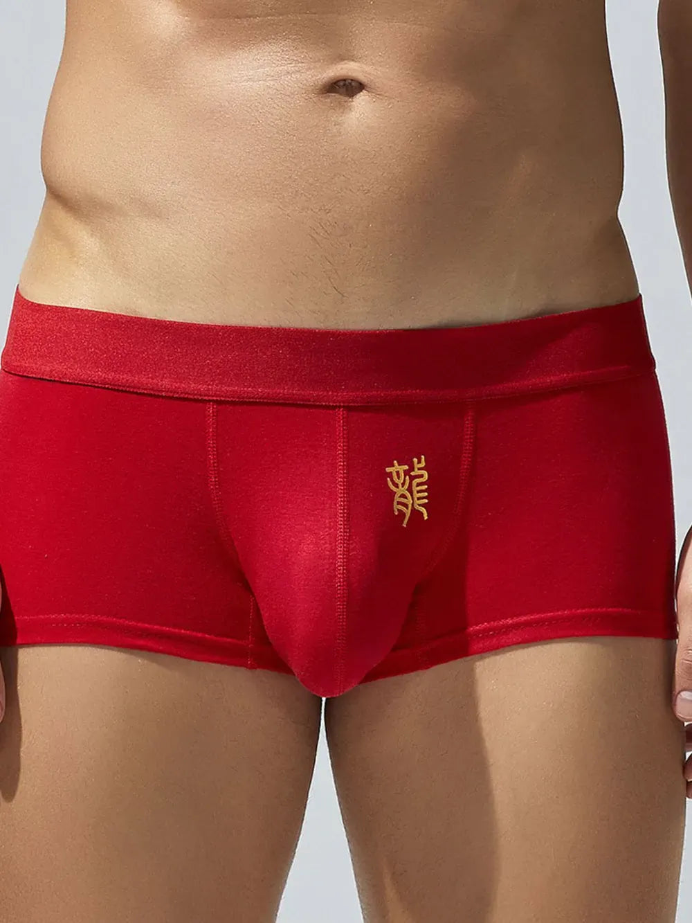 Trendsi Men's Elastic Panty Men's Elastic Panty Apparel & Accessories > Clothing > Dresses