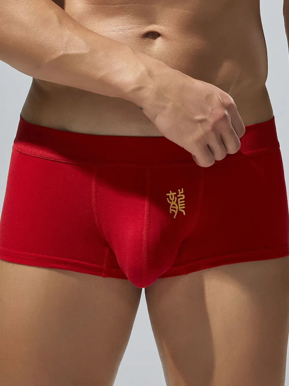 Trendsi Men's Elastic Panty Men's Elastic Panty Apparel & Accessories > Clothing > Dresses