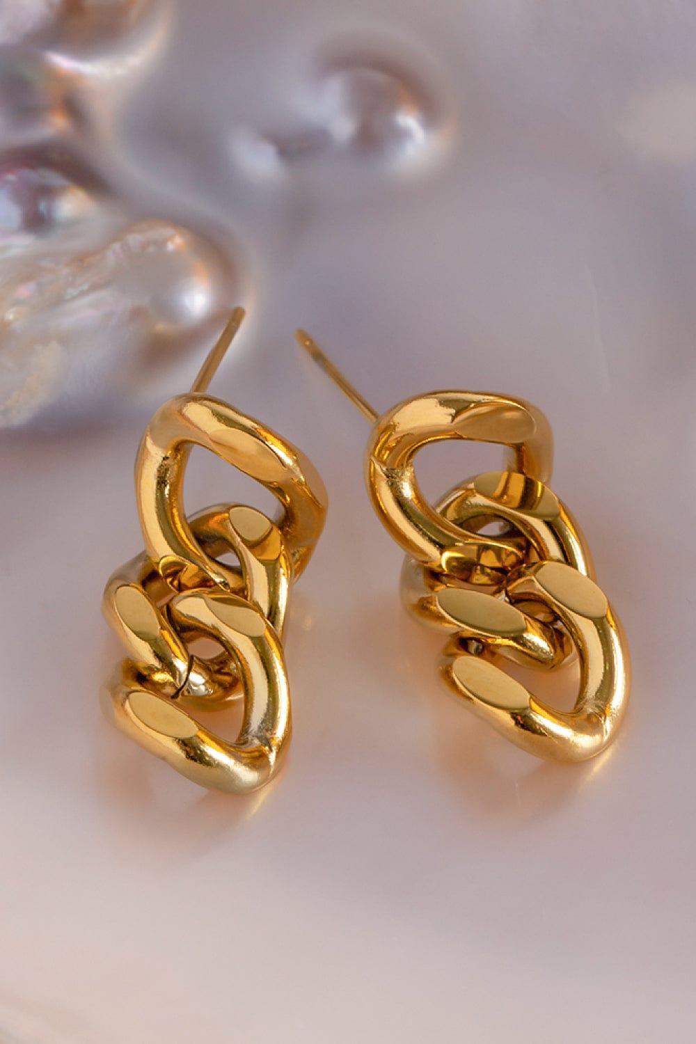 Trendsi Gold / One Size Stainless Steel Chain Earrings 101300395175877 Stainless Steel Chain Earrings